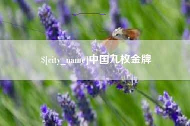 德宏中国九枚金牌