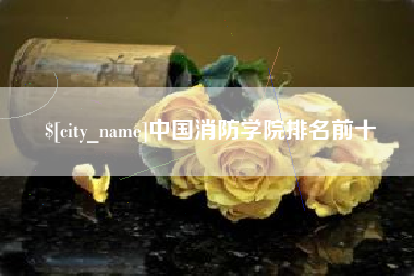 德宏中国消防学院排名前十