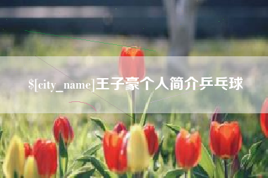 德宏王子豪个人简介乒乓球
