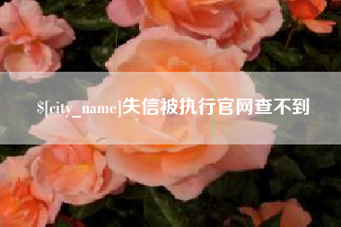 德宏失信被执行官网查不到