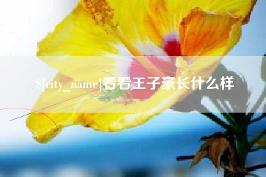 德宏看看王子豪长什么样