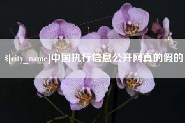 德宏中国执行信息公开网真的假的