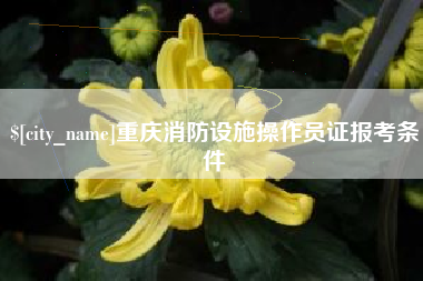 德宏重庆消防设施操作员证报考条件