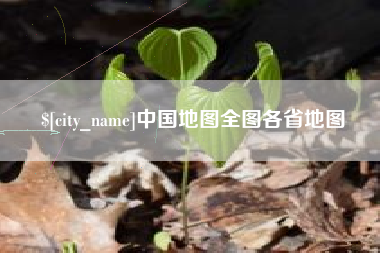 德宏中国地图全图各省地图