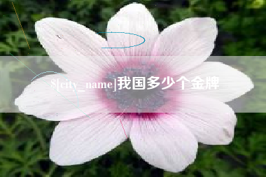 德宏我国多少个金牌