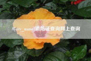 德宏消防证查询网上查询