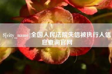 德宏全国人民法院失信被执行人信息查询官网