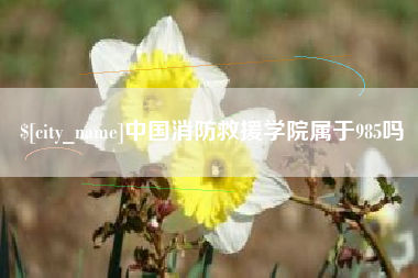 德宏中国消防救援学院属于985吗