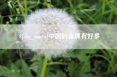 德宏中国的金牌有好多