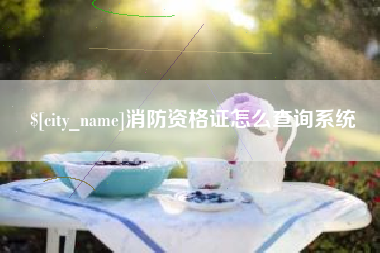 德宏消防资格证怎么查询系统