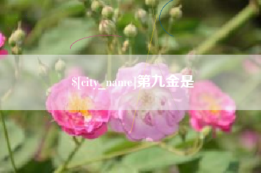 德宏第九金是