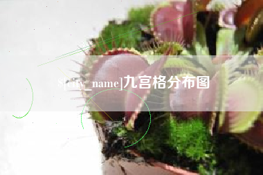 德宏九宫格分布图