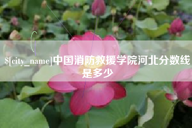 德宏中国消防救援学院河北分数线是多少