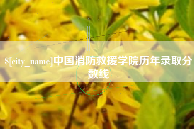 德宏中国消防救援学院历年录取分数线