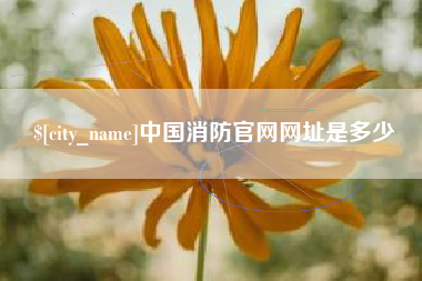 德宏中国消防官网网址是多少