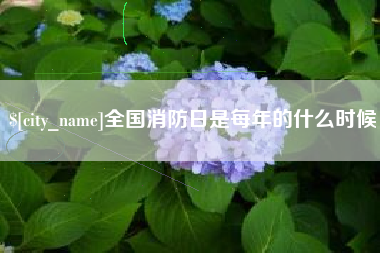 德宏全国消防日是每年的什么时候
