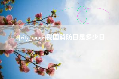 德宏我国消防日是多少日