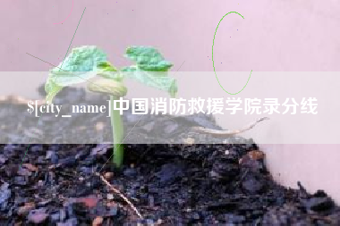 德宏中国消防救援学院录分线