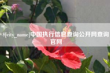 德宏中国执行信息查询公开网查询官网