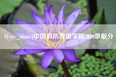 德宏中国消防救援学院2020录取分