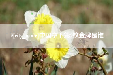 德宏中国拿下第9枚金牌是谁