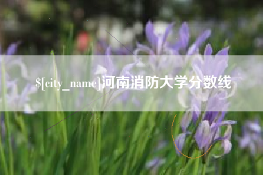 德宏河南消防大学分数线