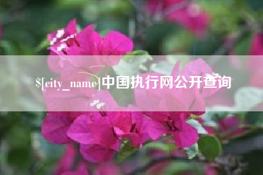 德宏中国执行网公开查询