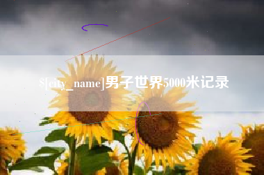 德宏男子世界5000米记录