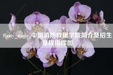 德宏中国消防救援学院简介及招生章程指挥部