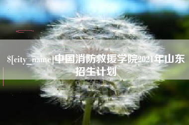 德宏中国消防救援学院2021年山东招生计划