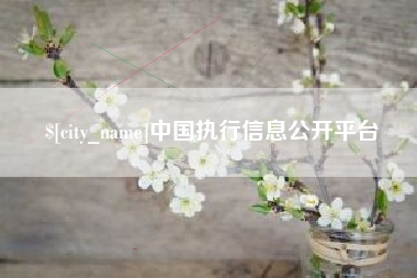 德宏中国执行信息公开平台