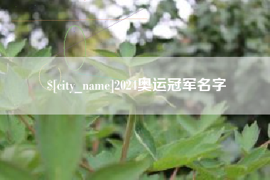 德宏2024奥运冠军名字