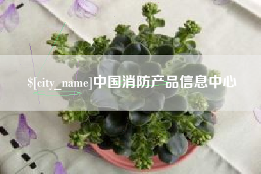 德宏中国消防产品信息中心