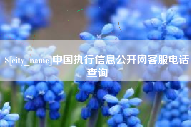 德宏中国执行信息公开网客服电话查询