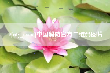 德宏中国消防官方二维码图片