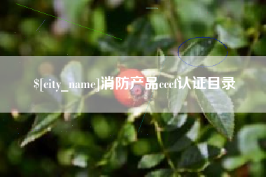 德宏消防产品cccf认证目录