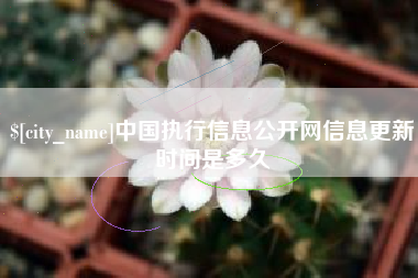 德宏中国执行信息公开网信息更新时间是多久