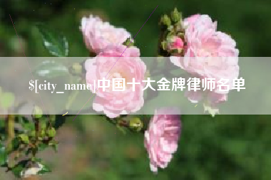 德宏中国十大金牌律师名单