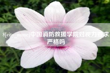 德宏中国消防救援学院对视力要求严格吗
