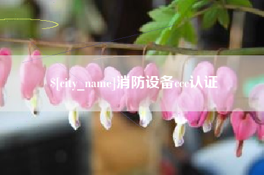 德宏消防设备ccc认证