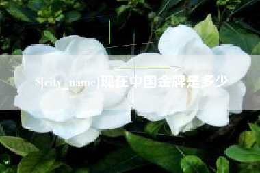 德宏现在中国金牌是多少