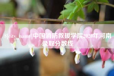 德宏中国消防救援学院2020年河南录取分数线