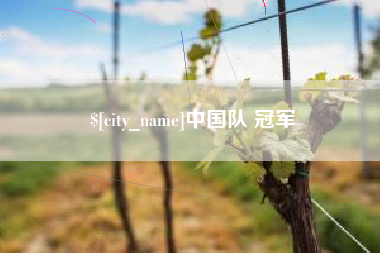德宏中国队 冠军