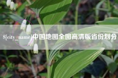 德宏中国地图全图高清版省份划分