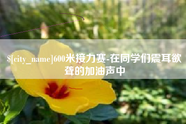 德宏600米接力赛-在同学们震耳欲聋的加油声中
