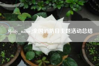 德宏全国消防日主题活动总结