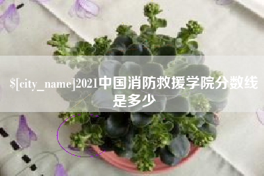 德宏2021中国消防救援学院分数线是多少