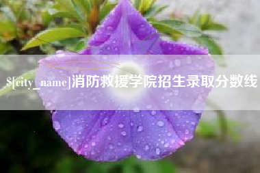 德宏消防救援学院招生录取分数线