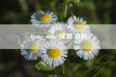 德宏成都 消防