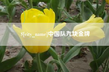 德宏中国队九块金牌